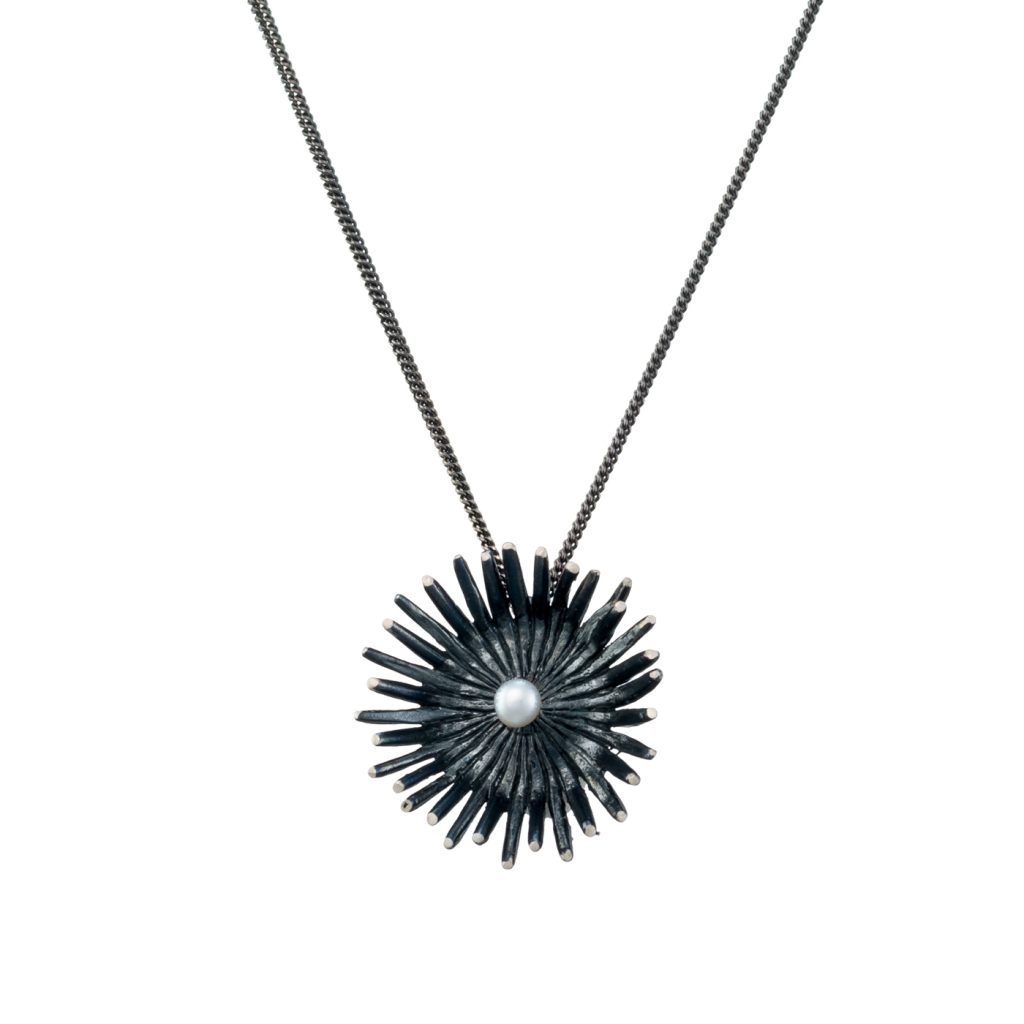 asimenio kolie anemone 1 1